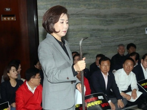 ▲ 나경원 전 국민의힘 의원 사진제공=뉴시스