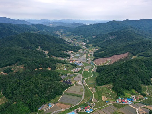 ▲ 선도 산림경영단지 사업에 선정된 충북 음성 (사진제공=산림청)