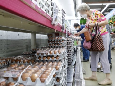 ▲ 서울시내 한 대형마트를 찾은 소비자들이 계란을 고르고 있다. 사진=뉴시스