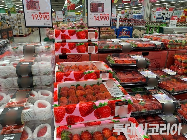 ▲  경기도 수원시의 한 대형마트에 딸기가 진열되어 있다. 사진=박수연 기자
