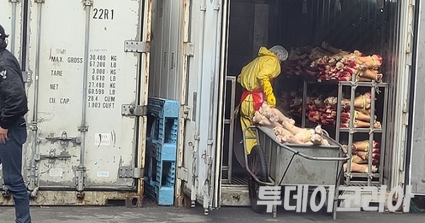 ▲ 경기도 내 도축장 직원이 손질된 우족을 손수레 싣고 외부 컨테이너 창고에 보관하고 있다. (사진=투데이코리아DB)