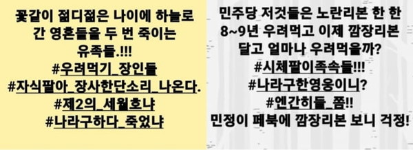 ▲ 현재는 삭제된 게시물. 사진=김미나(53·비례) 국민의힘 창원시의원 SNS