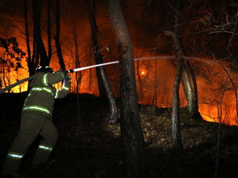 ▲ 4일 경북 울진군 북면 두천리에서 일어난 산불이 강풍을 타고 민가까지 불이 번져 소방관이 진화 작업을 벌이고 있다. 사진=뉴시스.