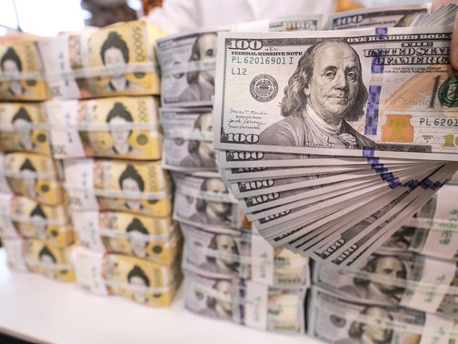 ▲ 서울 중구 하나은행 위변조대응센터에 원화와 달러화가 놓여있다. 사진=뉴시스