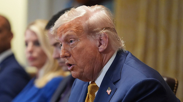 ▲ 도널드 트럼프 미국 대통령이 8일(현지시간) 백악관에서 열린 내각회의에서 발언하고 있다. 사진=뉴시스