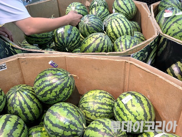 ▲ 서울 시내 한 마트에 수박이 진열되어 있다. 사진=투데이코리아