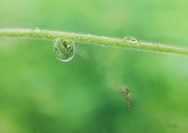 ▲ Natural Image 90.9 x 65.1cm Oil on canvas 2023. 사진=세종대학교