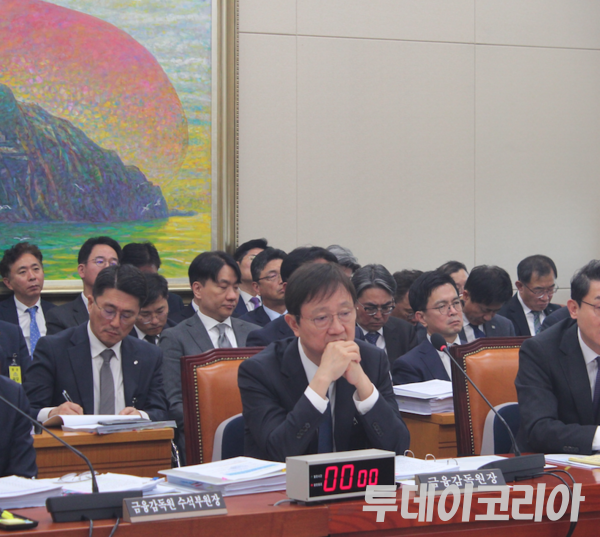 ▲ 이찬진 금융감독원장이 27일 오전 서울 여의도 국회 정무위원회에서 열린 국정감사에 참석했다. 사진=투데이코리아