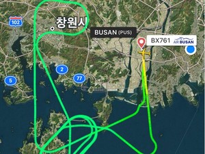 176명 탄 에어부산 항공기, 조류 충돌로 ‘긴급 회항’
